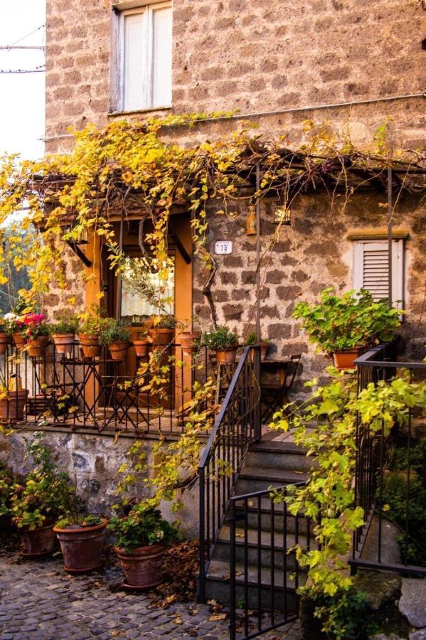Вилла Renaissance Boutique House Рончильоне Экстерьер фото